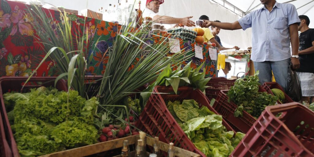 Decreto prorroga prazo para CNPJ de autônomos e produtores rurais