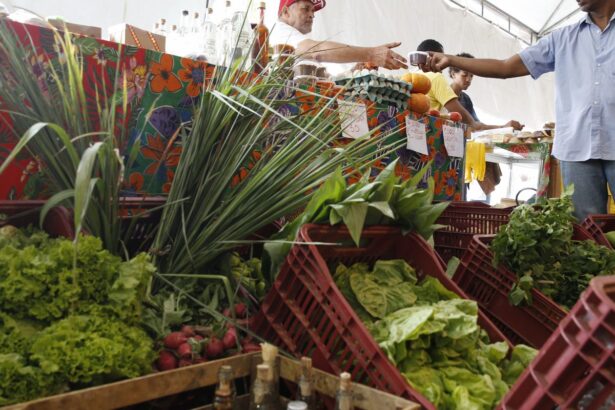 Decreto prorroga prazo para CNPJ de autônomos e produtores rurais