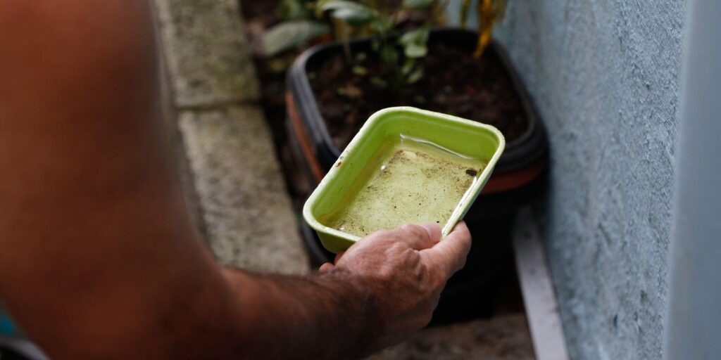 Ministério alerta: El Niño pode elevar dengue e chikungunya em 2027