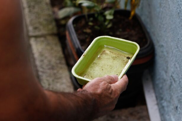 Ministério alerta: El Niño pode elevar dengue e chikungunya em 2027