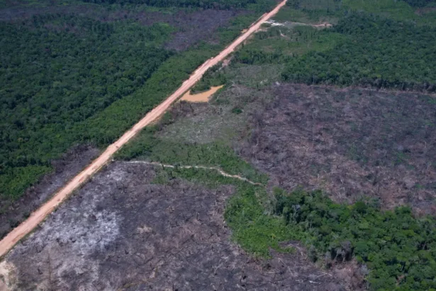 Ministério divulga 5º Leilão Eco Invest para financiar inovação tecnológica