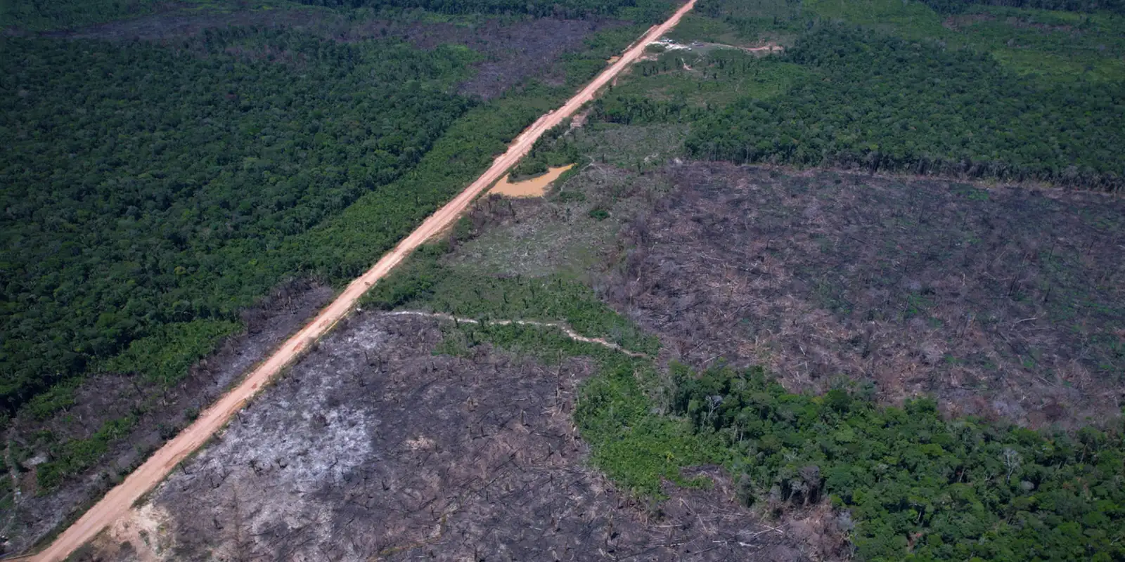 Ministério divulga 5º Leilão Eco Invest para financiar inovação tecnológica