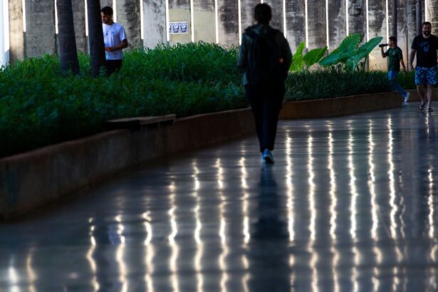 Universidades têm até sábado para solicitar implantação de cuidotecas