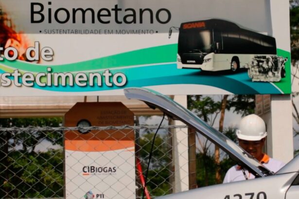 ANP regula venda e transporte do biometano e impulsiona energia limpa