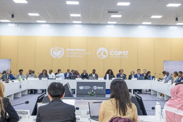 COP17 adia novamente criação de regime global para enfrentar secas