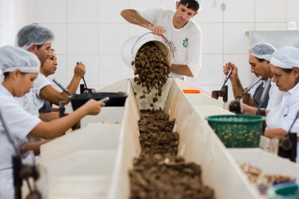 Envie sugestões: MDIC recolhe bens sustentáveis para comércio com UE