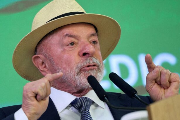 Lula envia a Trump comprovantes da queda do desmatamento na Amazônia