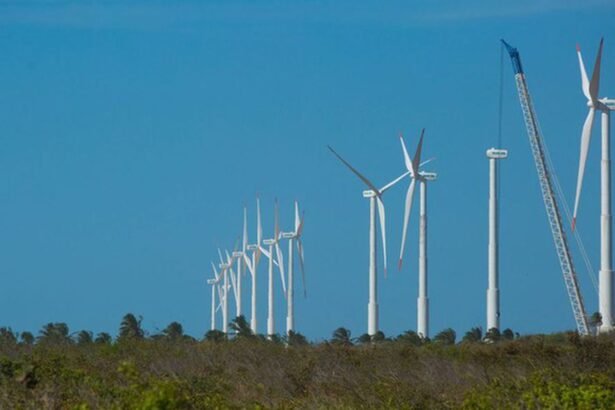 Projeto mapeia oportunidades para economia verde no Nordeste