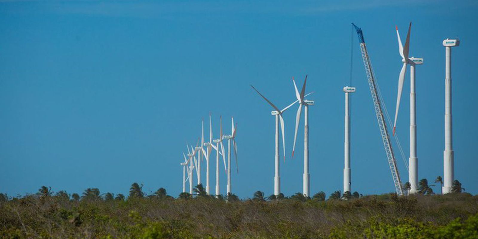 Projeto mapeia oportunidades para economia verde no Nordeste