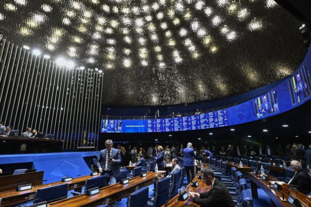 Senado aprova US$ 1,8 bi em empréstimos com garantia da União