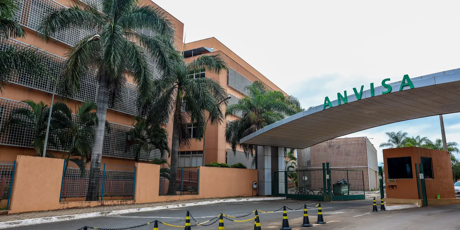 Anvisa alerta: levodopa pode provocar deficiência de vitamina B6