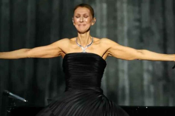 Céline Dion retorna a Paris e inicia temporada de 26 shows
