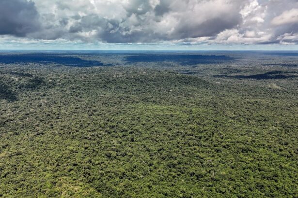 Fazenda libera US$ 1 bi do BID para impulsionar Eco Invest Brasil