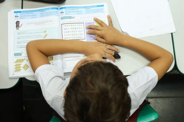 Inep libera resultados preliminares do Censo Escolar 2026; confira