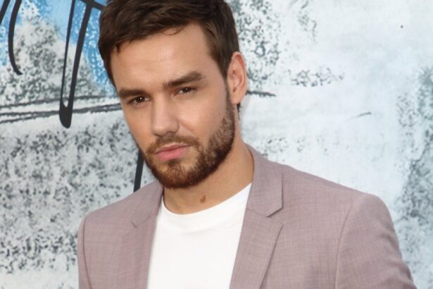 Niall Horan projeta voz de Liam Payne e emociona fãs em Birmingham
