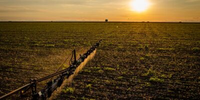 Nova lei amplia seguro rural e reforça proteção e acesso ao crédito