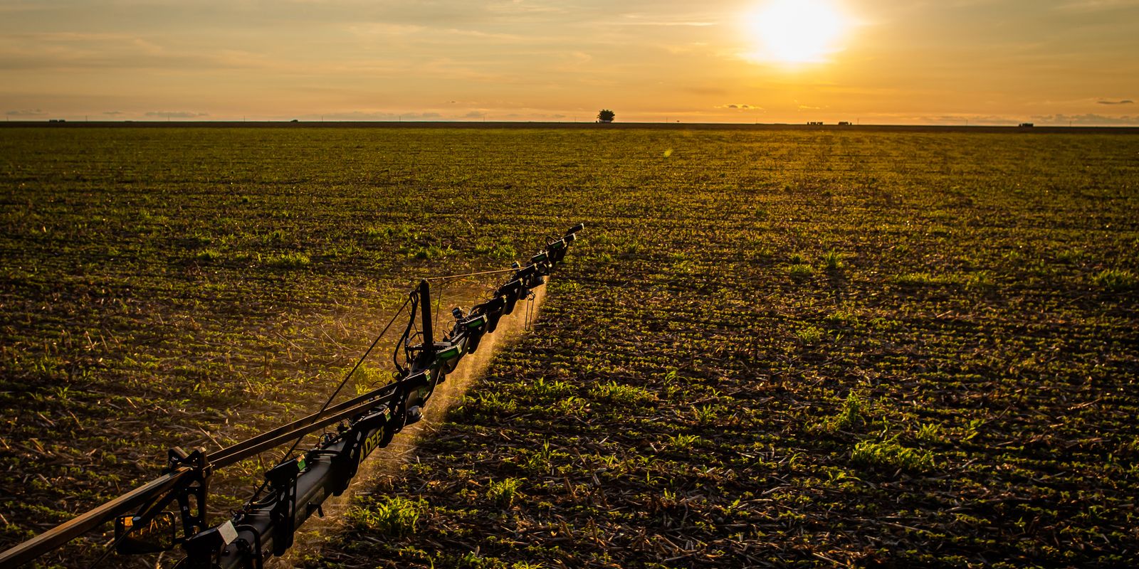 Nova lei amplia seguro rural e reforça proteção e acesso ao crédito