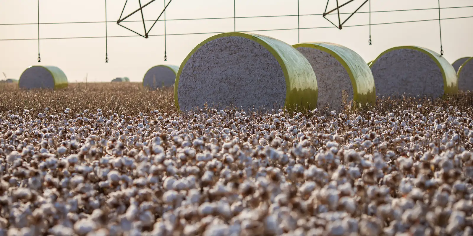 Sorriso perde liderança agrícola; Sapezal e São Desidério assumem topo